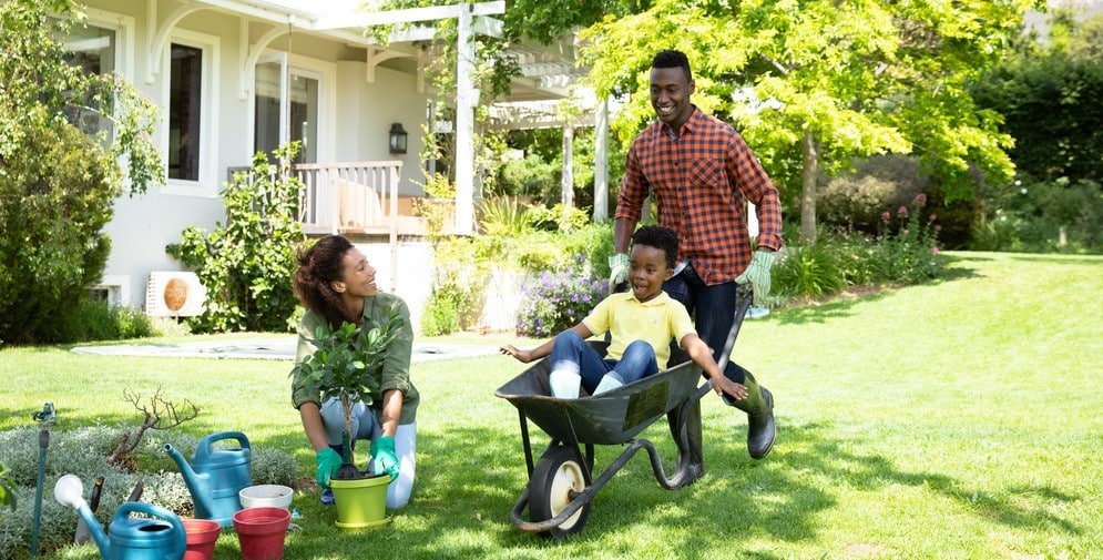 family playing in yard