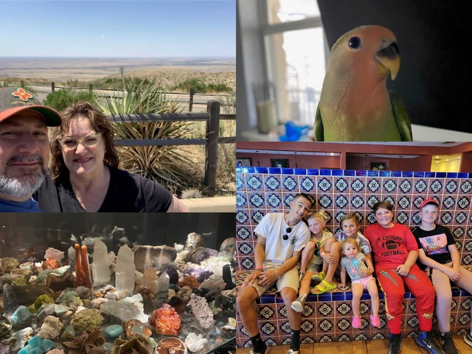 Janis Collage 1